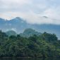 Pemandangan lautan awan dari puncak Gunung Halau-Halau yang menakjubkan, memperlihatkan hamparan hutan tropis Kalimantan yang masih sangat terjaga keasliannya. Para pendaki dapat menikmati keindahan panorama alam yang luas biasa dari titik tertinggi di Kalimantan Barat ini.