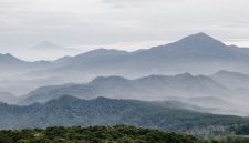 Pemandangan matahari terbit yang memukau dari puncak Gunung Halau-Halau, memperlihatkan hamparan awan dan hutan hijau lebat khas Kalimantan. Keindahan panorama ini menjadi hadiah bagi setiap pendaki yang berhasil mencapai titik tertinggi di Pulau Kalimantan.