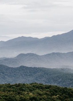 Menjelajahi Puncak Gunung Halau: Menggapai Ketenangan di Atap Kalimantan
