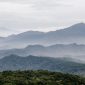 Pemandangan matahari terbit yang memukau dari puncak Gunung Halau-Halau, memperlihatkan hamparan awan dan hutan hijau lebat khas Kalimantan. Keindahan panorama ini menjadi hadiah bagi setiap pendaki yang berhasil mencapai titik tertinggi di Pulau Kalimantan.