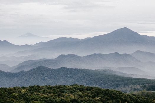Pemandangan matahari terbit yang memukau dari puncak Gunung Halau-Halau, memperlihatkan hamparan awan dan hutan hijau lebat khas Kalimantan. Keindahan panorama ini menjadi hadiah bagi setiap pendaki yang berhasil mencapai titik tertinggi di Pulau Kalimantan.