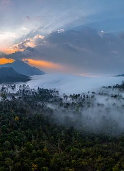 Meratus, Jantung Kalimantan: Lebih dari Sekadar Hutan Belantara yang Menawan